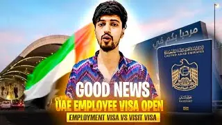 UAE Employment Visa VS Visit Visa | Which Path is Best for Your Dream Job in DUBAI.?💡