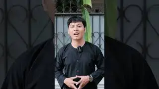 Bedanya Lensa SIGMA ART vs SIGMA CONTEMPORARY apa sih?!