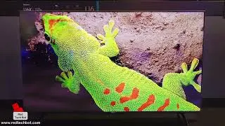 Review of the 2023 Hisense 55U6K Smart TV at CES - What You Need To Know Before You Buy.