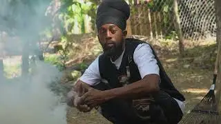 How many Jamaicans will ? #farmland #bobmarley #africa #fypシ゚viral #food #farmland #tvshow#tvd