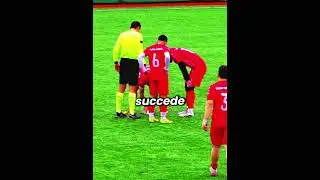 🕊️⚽ The Soccer Player Who Saved A Seagull