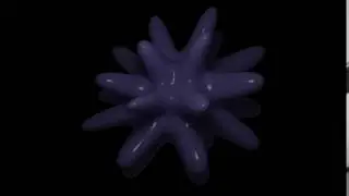 Blender Shape Key Loop