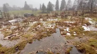 Managing Floodwater in the Forest Garden: Passive Irrigation, Swales, etc.