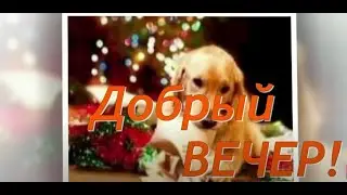 Добрый Вечер! С Добрый Вечером! Музыкальная Открытка!