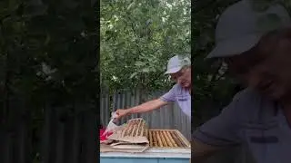 Подкормка пчёл!🐝🐝🐝🐝🐝🐝🐝🐝🐝🐝🐝🐝🐝🐝🐝
