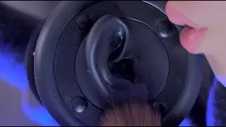 ASMR The Ear Attention to Relax, Sleep, Work, Study👂 (No Talking, Ear Massage)
