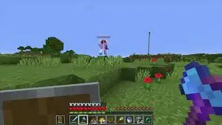 My friend made a Last Life Server... This is the Final Battle!