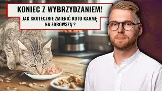 Jak przestawić kota na lepszą karmę? Pełny poradnik krok po kroku!
