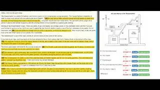 Ielts Listening Actual: Visiting the Sheepmarket area