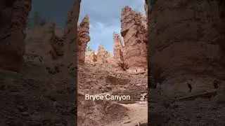 #nationalpark #roadtrip #grandcanyon #mesaverde #capitolreef #canyonlands #brycecanyon #zion