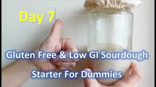 👍 Day Seven 👍 How To Make A Gluten Free Low GI Sourdough Starter For Dummies #teemars