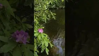 Будьте добрее друг с другом! #shortsvideo #tiktokvideo #kasteel #цитатысосмыслом #music #chill