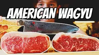 AMERICAN WAGYU