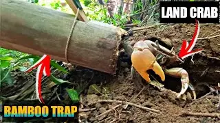 SURVIVAL MAKING BAMBOO TRAP | CRAB TRAP EASY TO MAKE