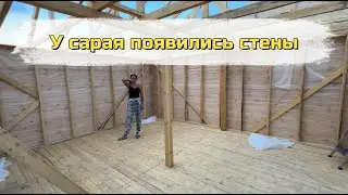 Сарай за 250 тысяч на половину готов