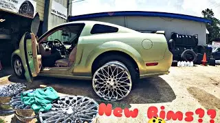 Update on Shelby! 😈 | 2006 Ford Mustang GT Premium 3v | YouTube I Have A Question