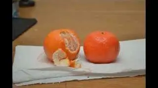 Stop Motion-D3100