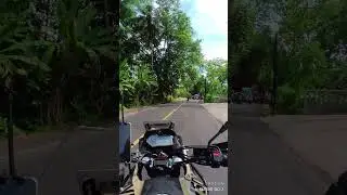Coconut Traffic #coconut #coco #traffic