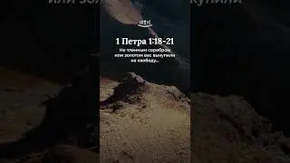 1 Петра 1:18-21 современный перевод Библии #shorts