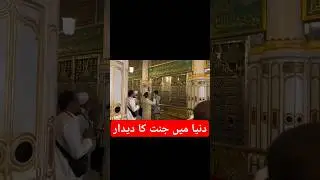 Jannat ka Dedar | #jannat #rozaerasoolﷺ #shorts #foryou #zeeshanhasnain #viral #riazuljannah