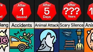 Timeline: What If Everyone Suddenly Fell Asleep