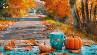 또 다시 가을🍂 가을 속 평온한 피아노 연주 ☕🎶