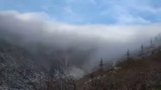 Фольксваген Транспортер  Т - 3: съездили в горы и вернулись на нем обратно