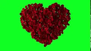Clé chroma coeur Fond vert