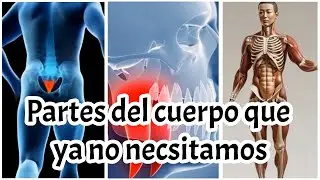 Misterios del cuerpo humano