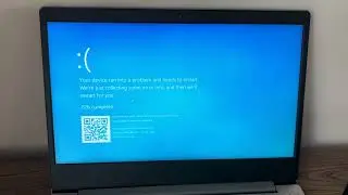 Gugu gaga penguin has BSOD