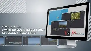 DaVinci Resolve - Organizzare le clip con keyword e smart bin