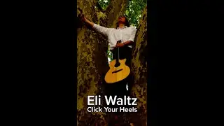 Eli Waltz | 