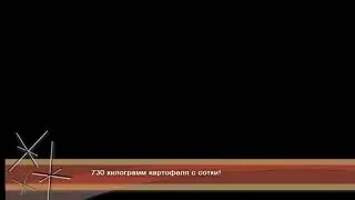 730 кг картофеля