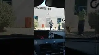 Formerly known as Leid Animal Shelter