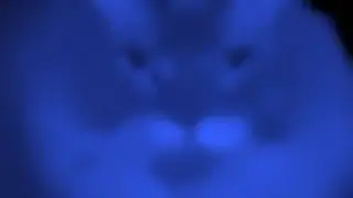 10 Version Телевизор туту Телевизор туту 3