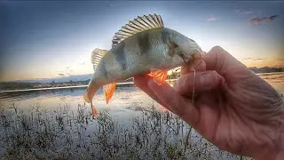 ОСЕННЯЯ РЫБАЛКА.ГРОЗНЕНСКОЕ МОРЕ