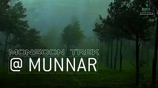 Kerala Monsoon Saga @ Munnar | Rains in the Hills of Munnar | Monsoon Tourism |  Kerala Tourism
