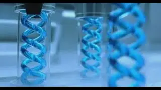 The C Virus