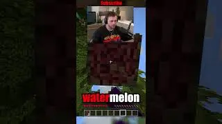 Minecraft, but if I say a block it’s DELETED