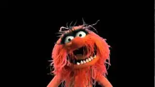 Muppets Online: Animal and Bunny
