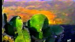 Verduras Gigantes Parte 2