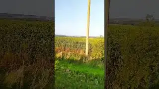 Красивая природа Башкирии ☘️ на машине.