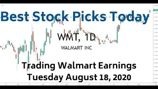 WMT Walmart Earnings 8-18-20 | Best Stock Picks Today