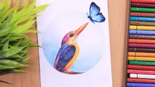 Draw Bird and Butterfly with Colored pencils | Tutorial for BEGINNERS
