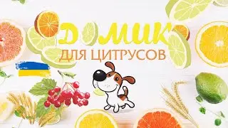 Допоможи діткам та отримай машинку