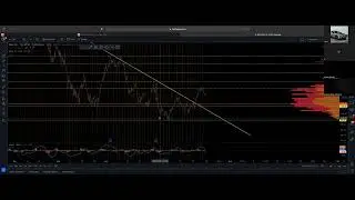 PF Mentorship: Phase 1 Q&A Session