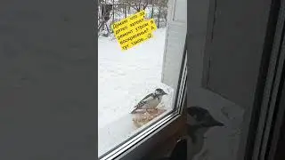 29 января 2023 г.