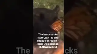 Самый лучший магазин вбаксов , екзит лагов , бустов только у нас - https://discord.gg/64UWzuvX3M
