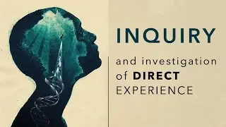 Self-Inquiry and Investigation of Direct Experience
