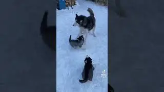 Проблемы родителей и детей.